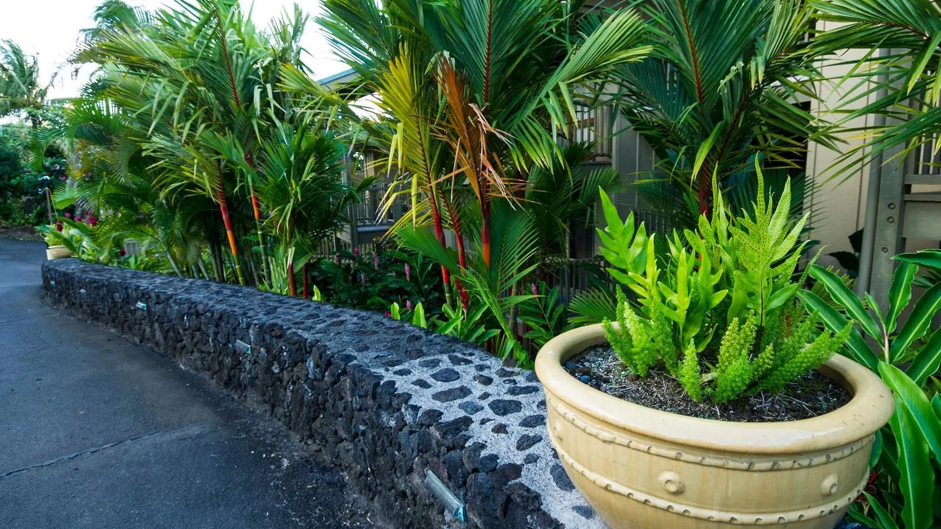 Hana Kai Maui - #201 Honokalani - Oceanview 1 Br 0*,  United States